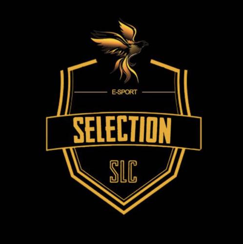 Selection E-Sport logo