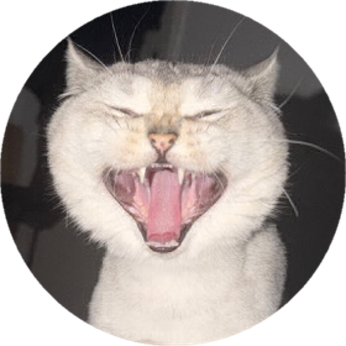 ADNAN OKTAR VE KEDİCİKLERİ