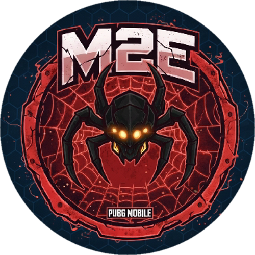 M2E E-SPORTS