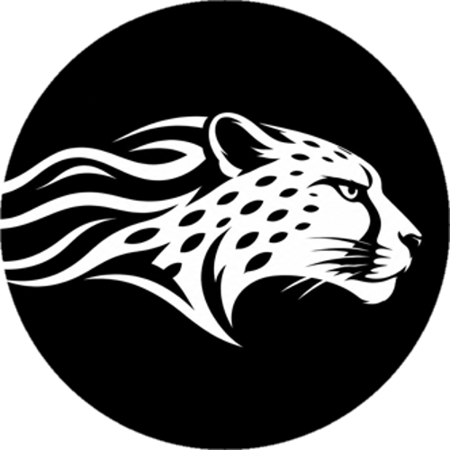 BeX ESPORT