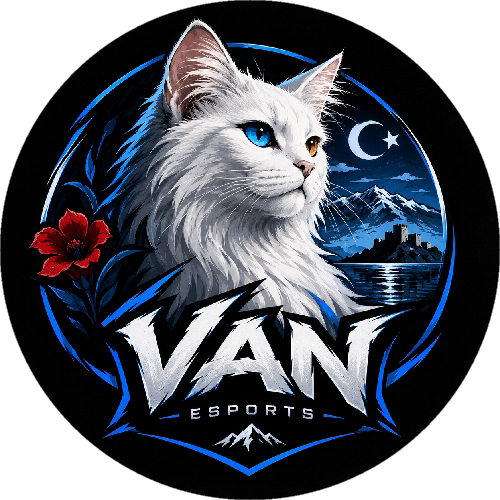 VAN ESPORTS