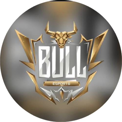 BULL FUTURE