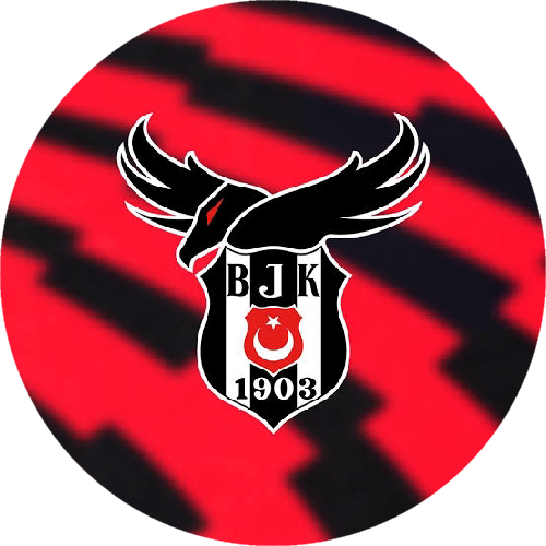 Beşiktaş Academy Future