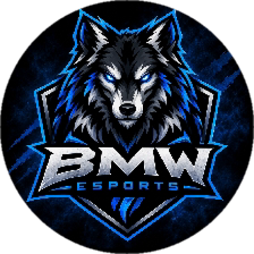 ZYRON ESPORTS