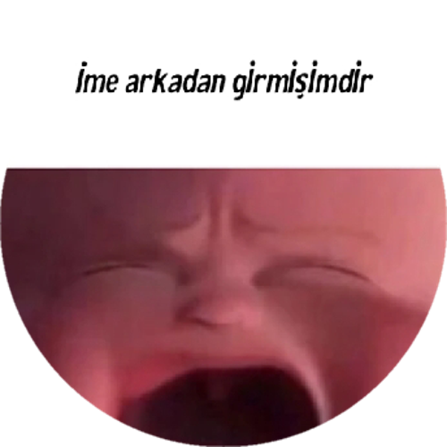 Küçük noximalar