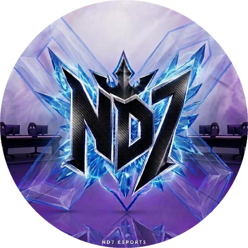 ND7 ESPORTS