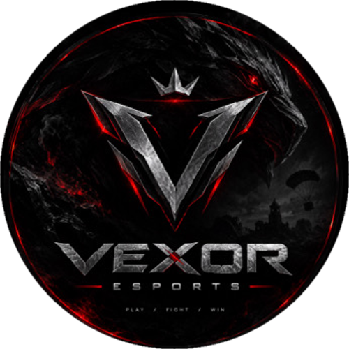VEXOR EsportS