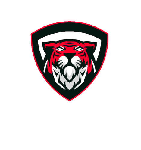 Moon Star E-Sports logo