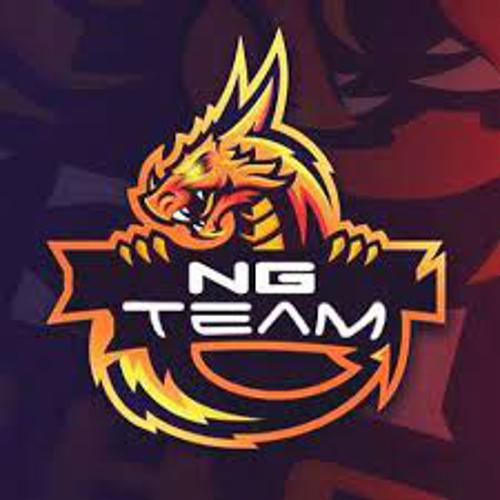 NG Team logo