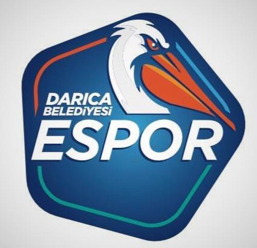 Darıca Espor logo
