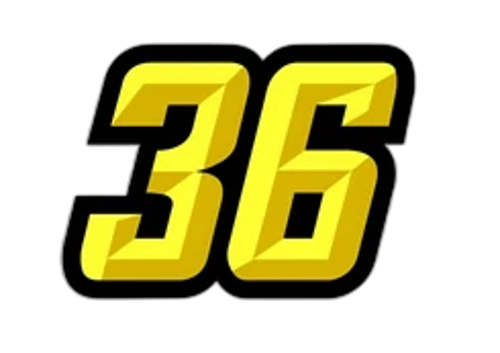 Team 36 logo