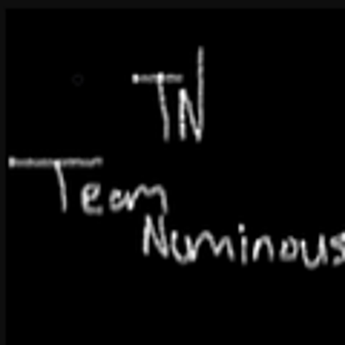 Team Numinous logo