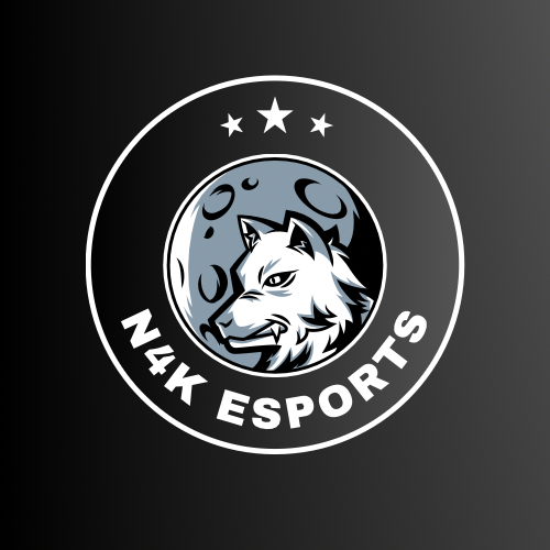 N4K Esports logo