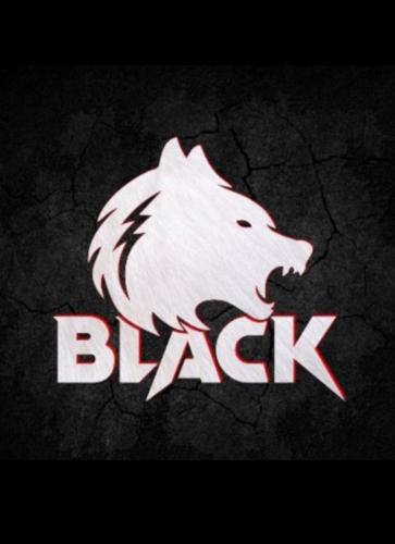 Black Esports logo