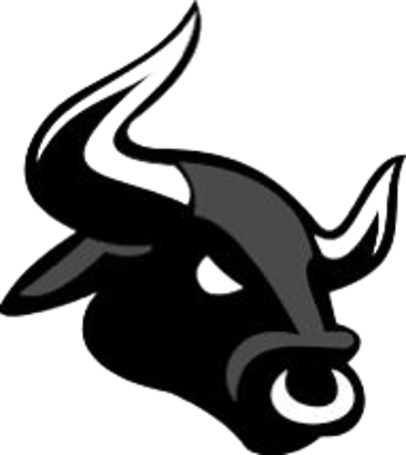 BLACK BULLS logo