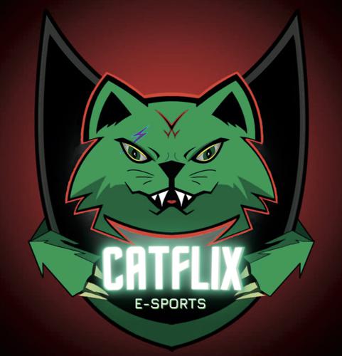 CATFLİX logo