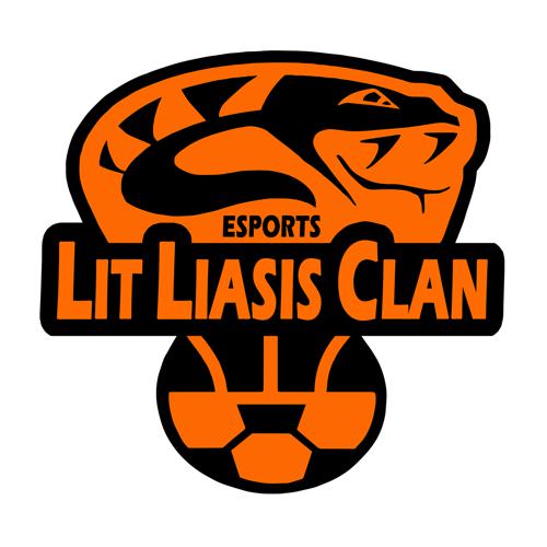 LLC ESPORTS logo