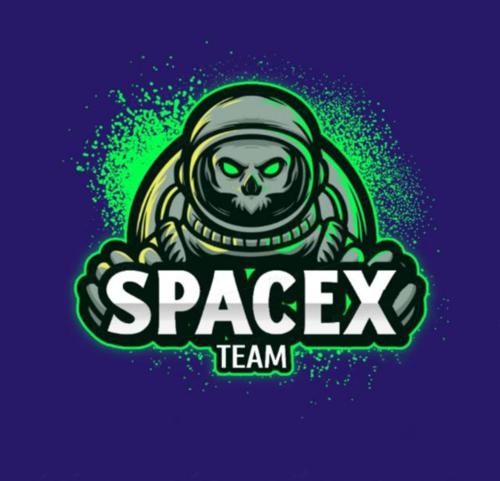 SpâcEX Team logo