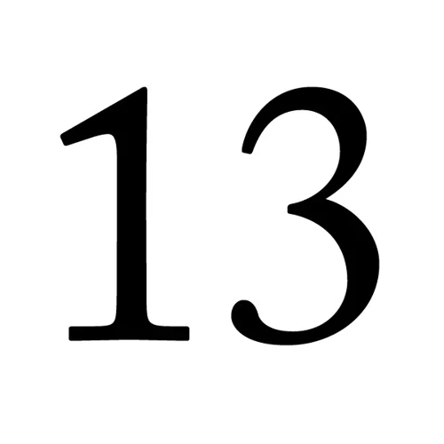 13 logo