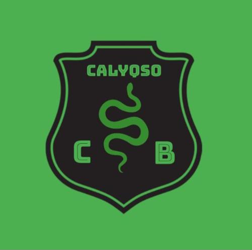 Calyqso Esports logo