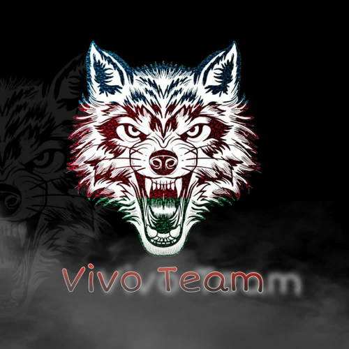 VİVO Team logo