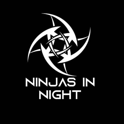 NINJAS IN NIGHTT logo