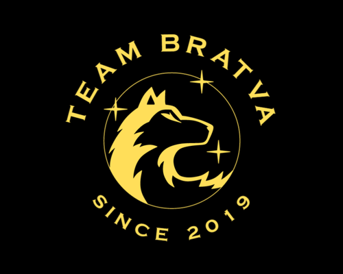 Team Bratva logo