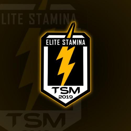 Elite Stamina logo