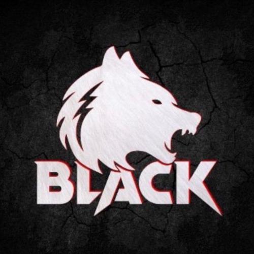 Black E Sports logo