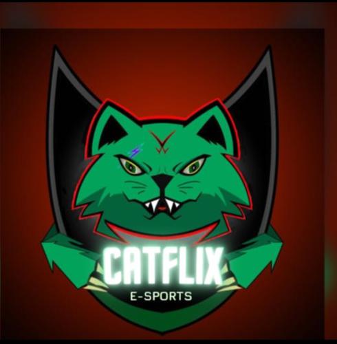 Catflix Academy logo