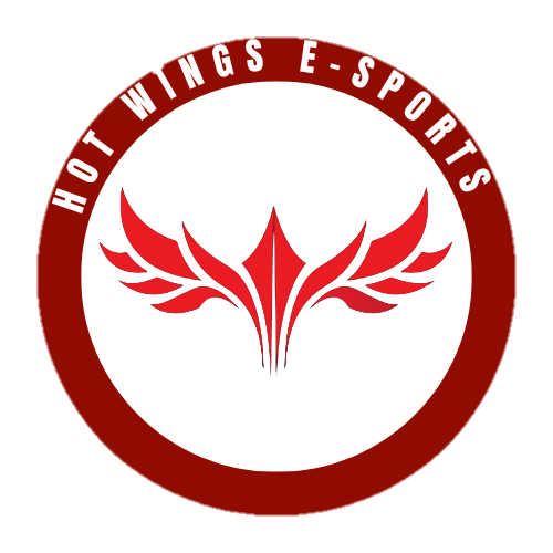 HOT WİNGS logo