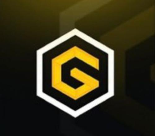 GeniusTeam logo