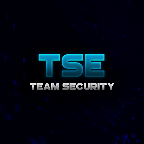 Team Security logo