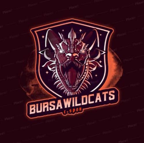 BursaWildCats logo