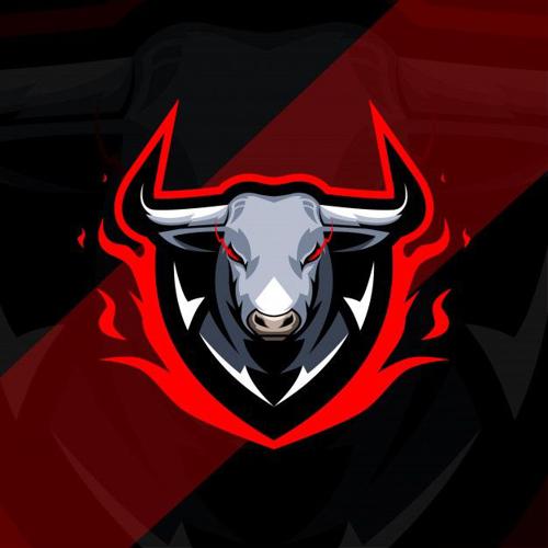 Wild Bulls logo