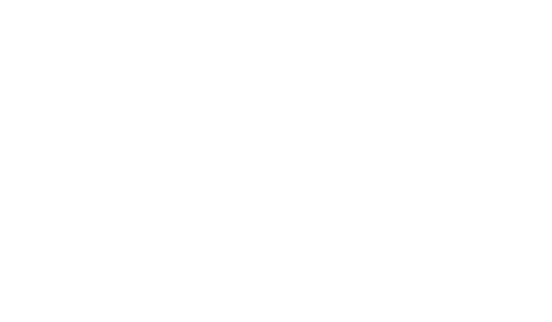 DON Main logo