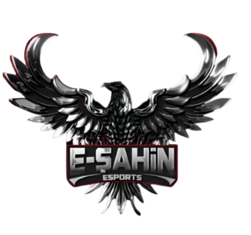 E-SAHİN VEGAFLY ESPORTS logo