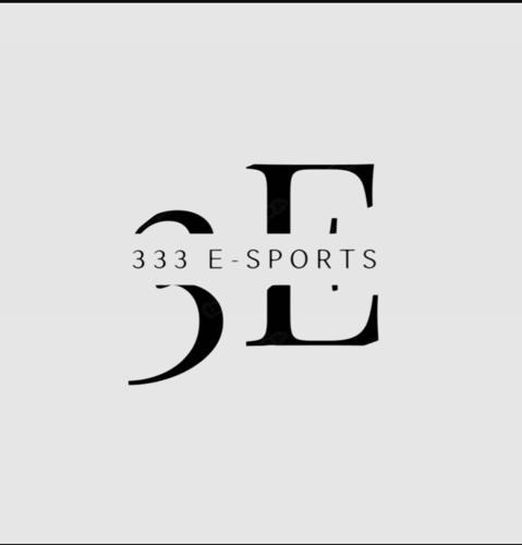333 E-SPORTS logo
