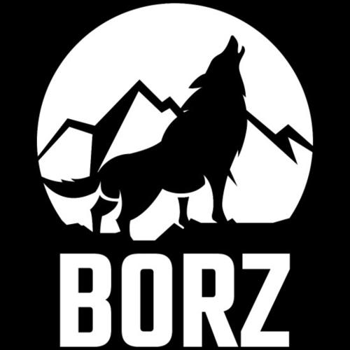 BORZ ESPORT logo