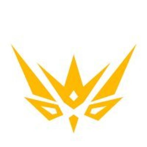 Baykuş Esports RIVALS logo
